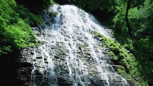 高端自动化
